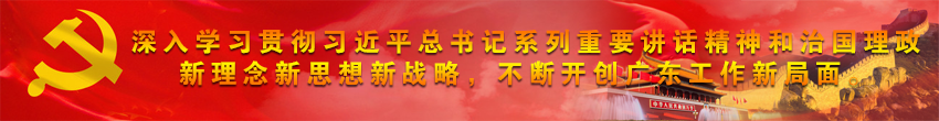 学习贯彻落实习近平总书记重要讲话精神