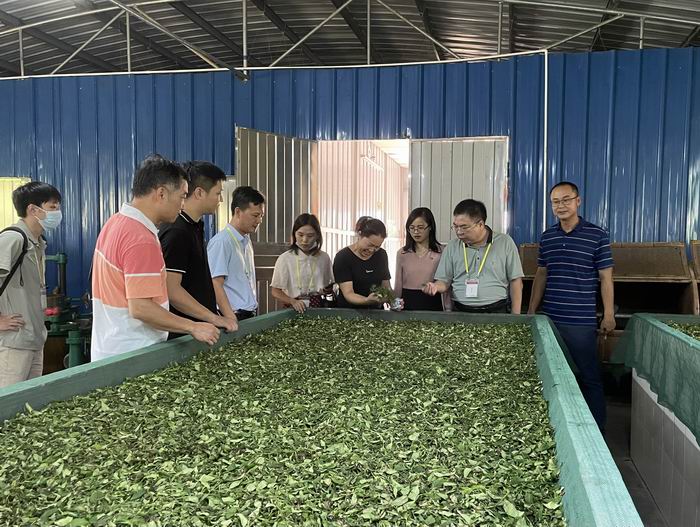 微信图片_202109171733503(700).jpg