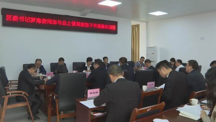 区委书记罗海俊到白土镇调研基层党建乡村振兴等工作