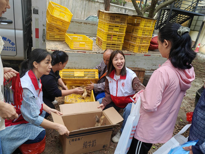 image006(700).png