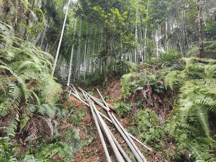 image001(700).jpg