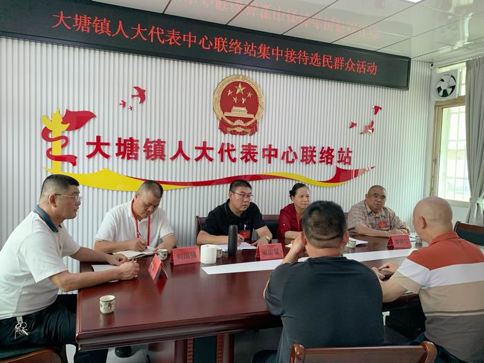 区人大常委会主任谭雪华在大塘镇人大代表中心联络站接待选民群众(700).jpg