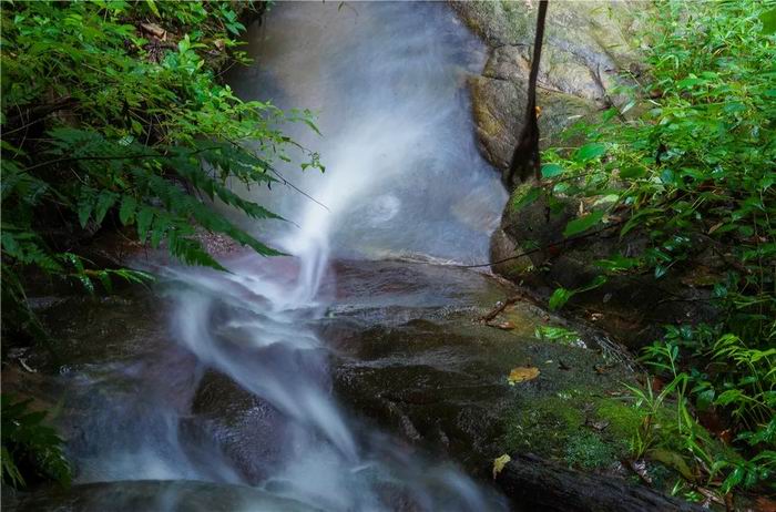 image008(700).jpg
