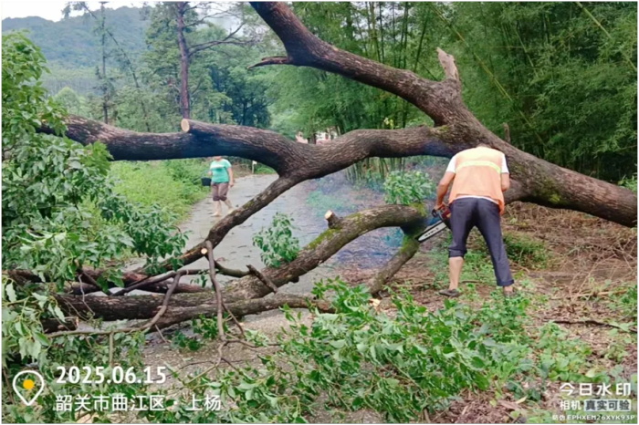 交通网.jpg