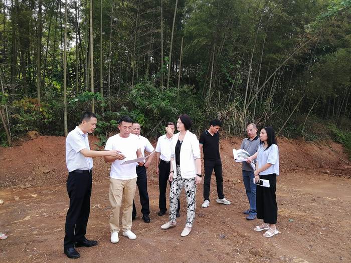 0905陈磊副市长调研2(700)图为副市长陈磊在广东(曲江)华家班文化旅游