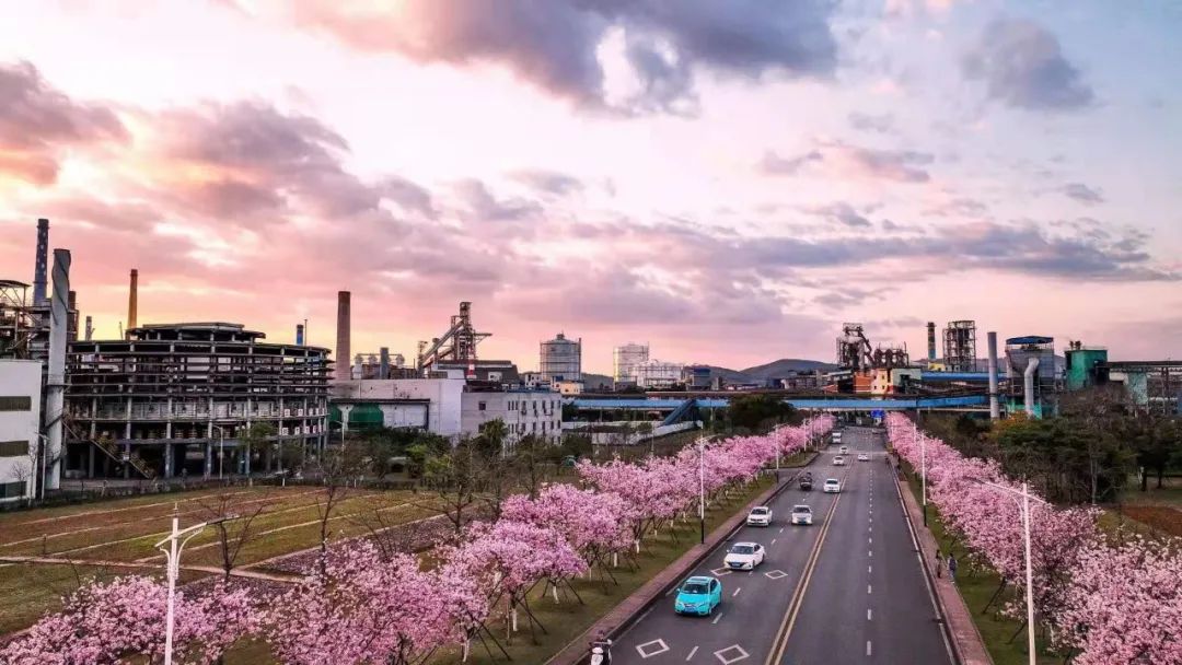 景区提供 (2).jpg