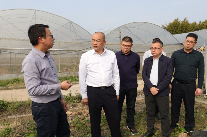 市委副书记杨安队一行到大塘镇调研乡村振兴工作- 韶关市曲江区门户