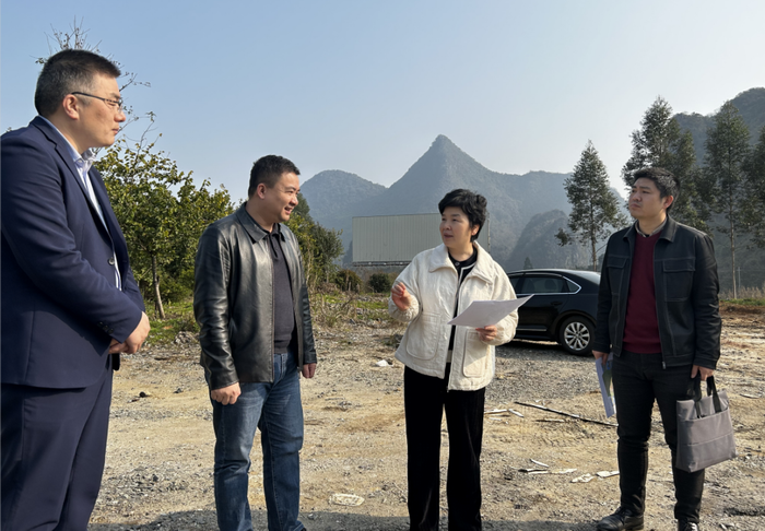 高冬瑞到枫湾镇调研