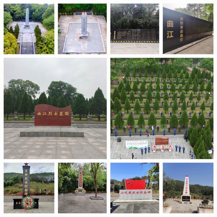 当前位置:>首页>新闻中心>新闻资讯>部门动态>750_750