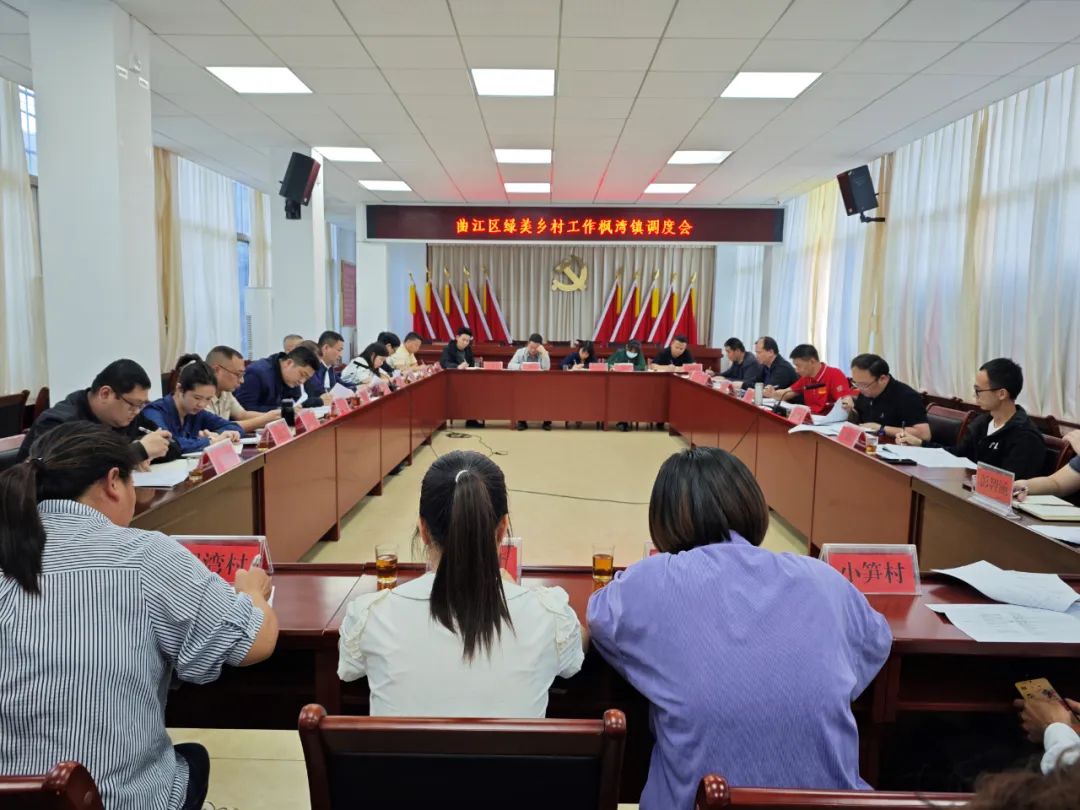 镇党委书记卢波同志就当前全镇绿美乡村工作情况,如何发动群众齐抓共