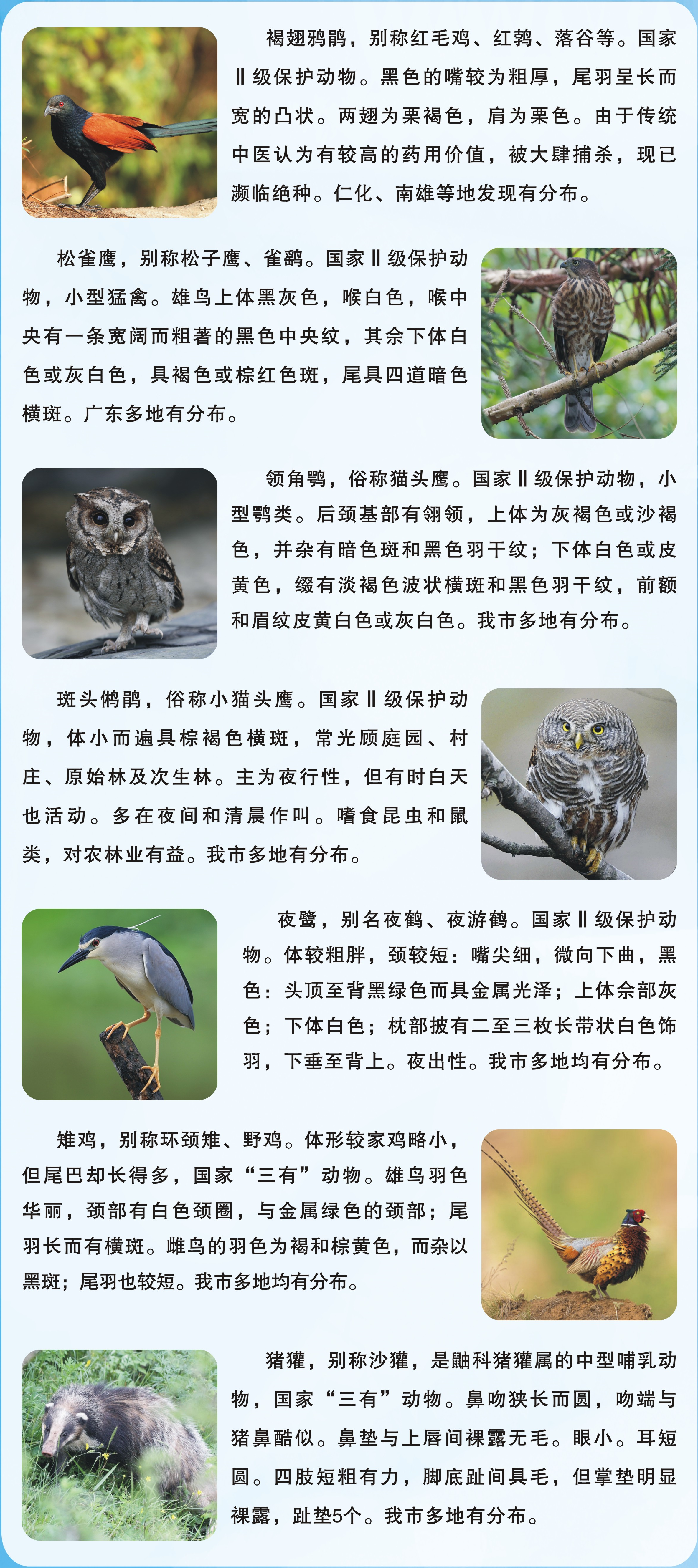 野生动植物保护科普：图说野生动物.png